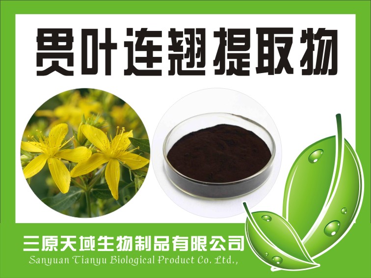 贯叶连翘提取物