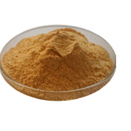 甘草查尔酮A生产厂家