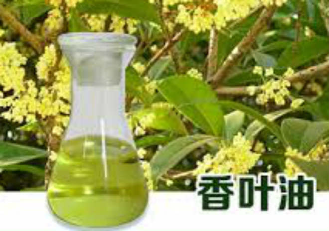 香叶油