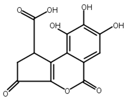 短叶苏木酚酸