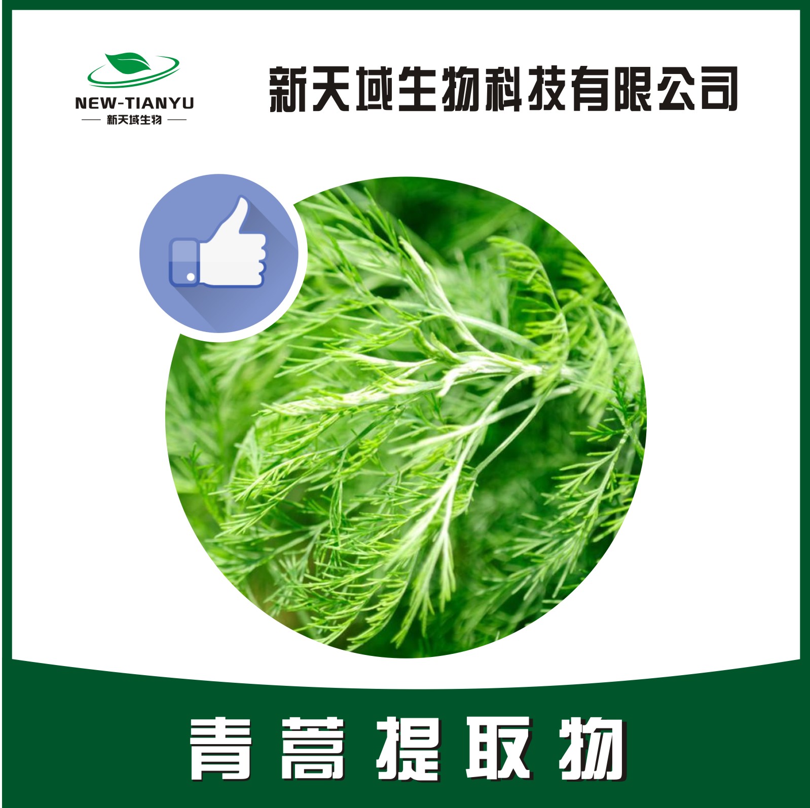 青蒿提取物 厂家直销 质量保障