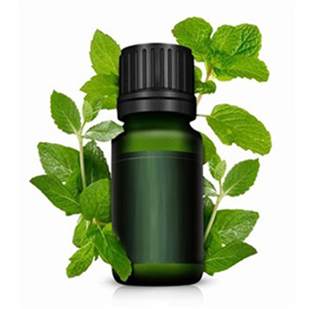 椒样薄荷油生产厂家