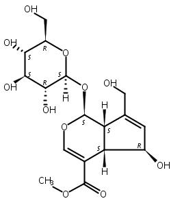 6-beta-羟基栀子苷