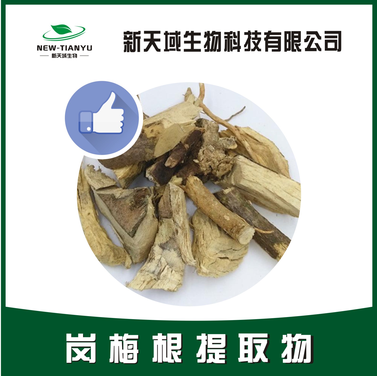 岗梅根提取物 厂家直销 质量保障