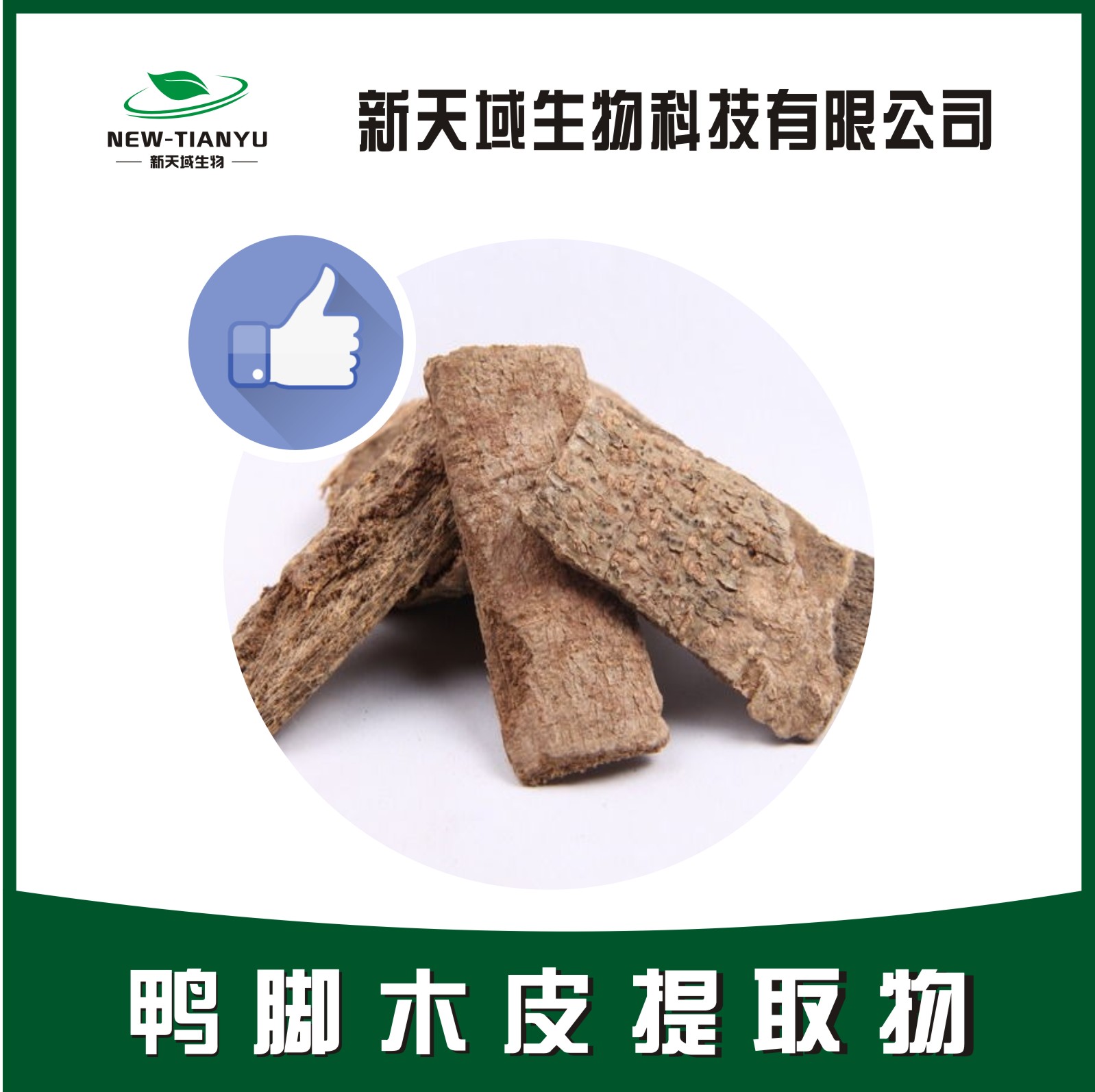 鸭脚木皮提取物