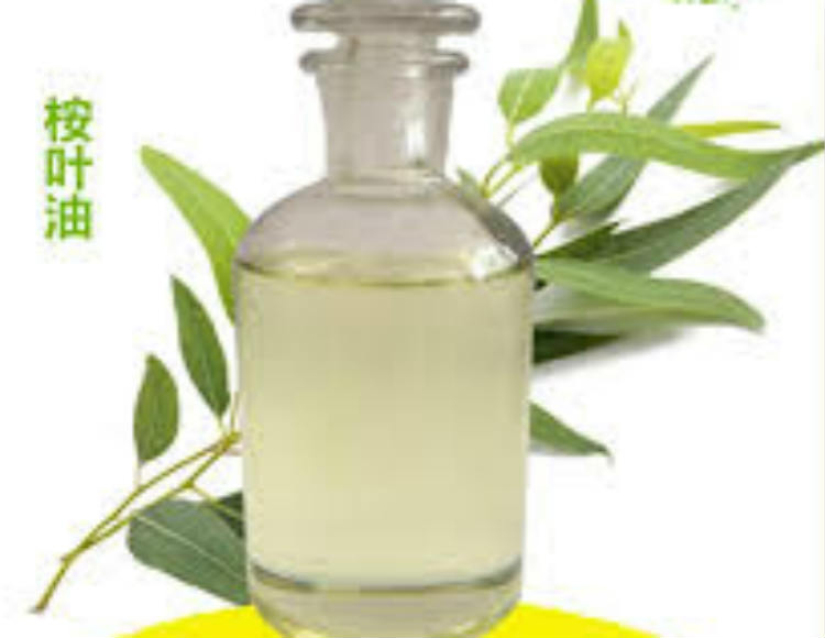 桉叶油
