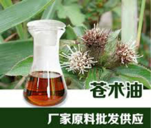 苍术油