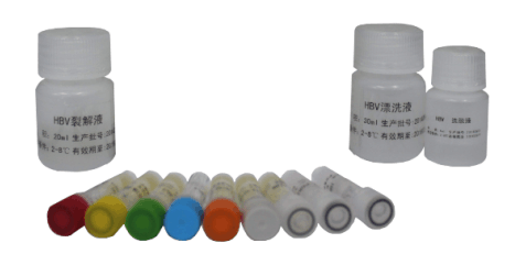 细胞凋亡染色试剂盒(细胞Hoechst染色)