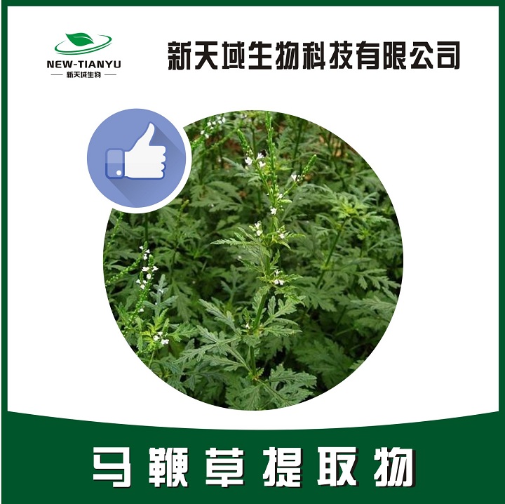 马鞭草提取