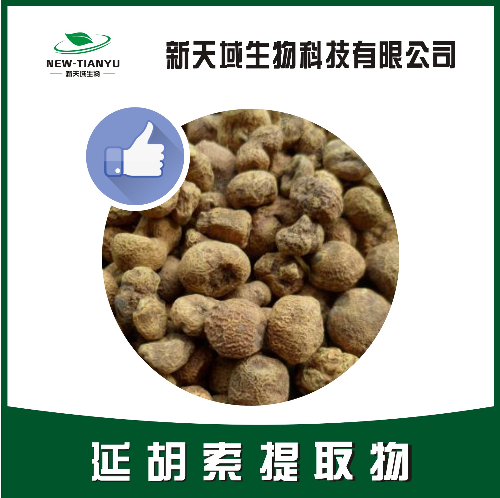 延胡索提取物 / 延胡索乙素 / 元胡提取物