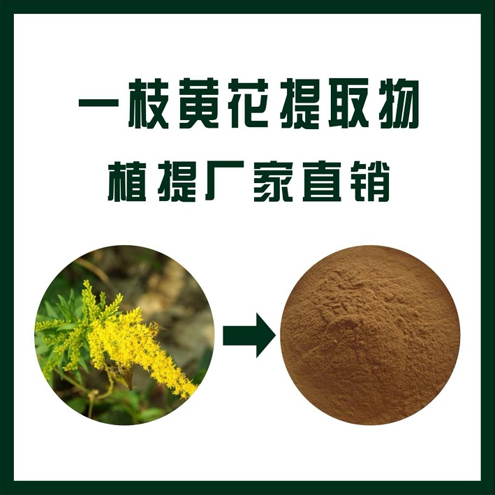 一枝黄花提取物
