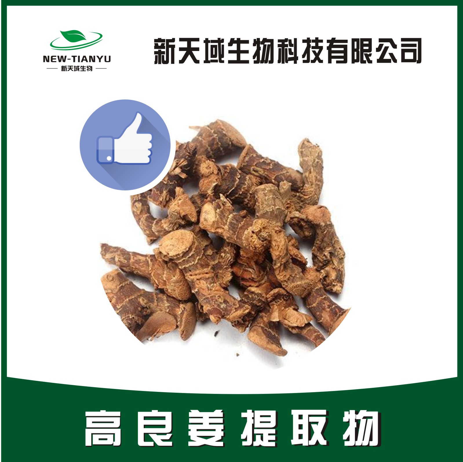 高良姜提取物 厂家直销 质量保障