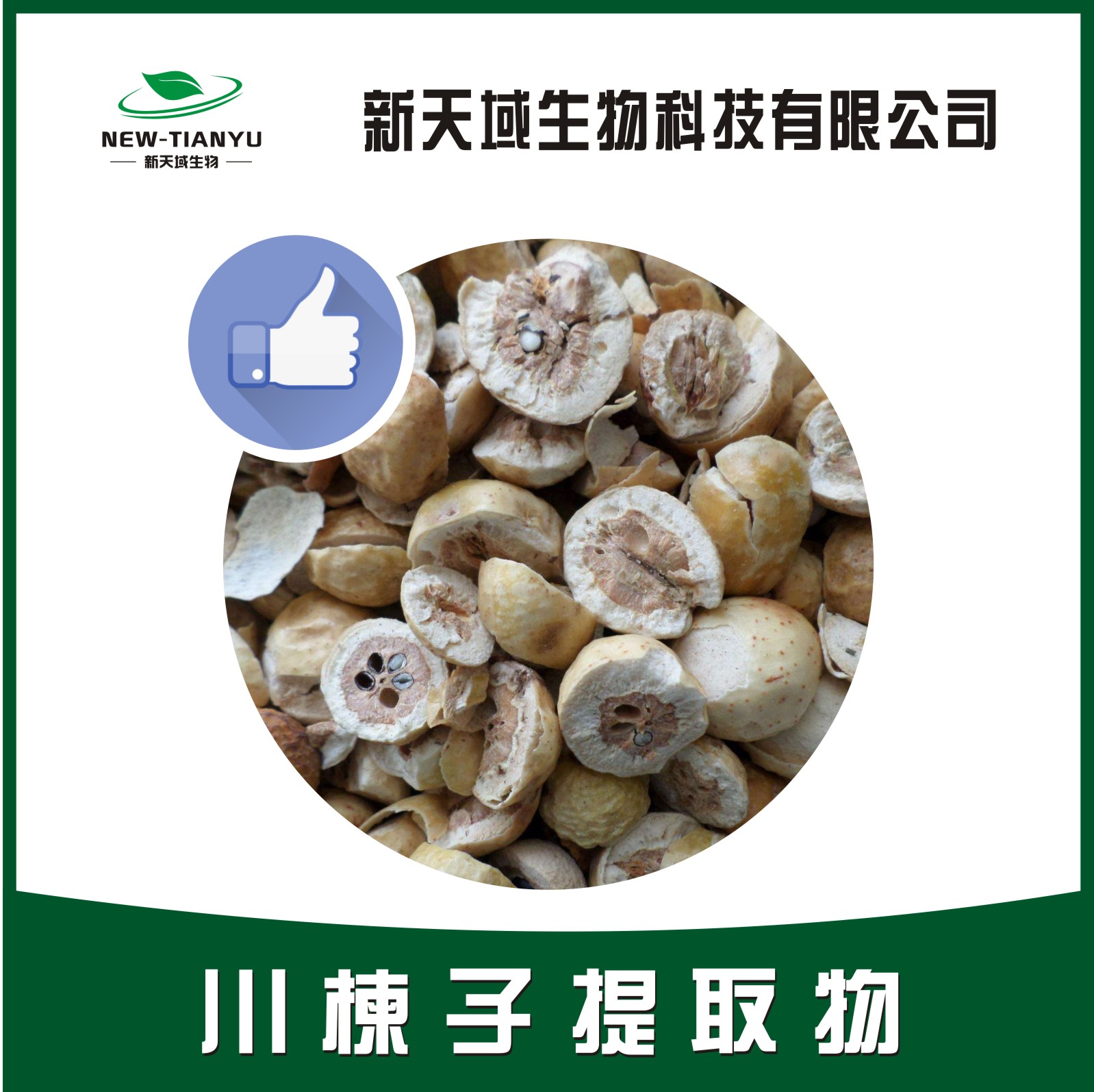 川楝子提取物 厂家直销 质量保障