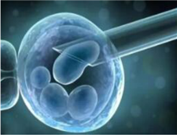 KIT，CSF1R和FLT3抑制剂