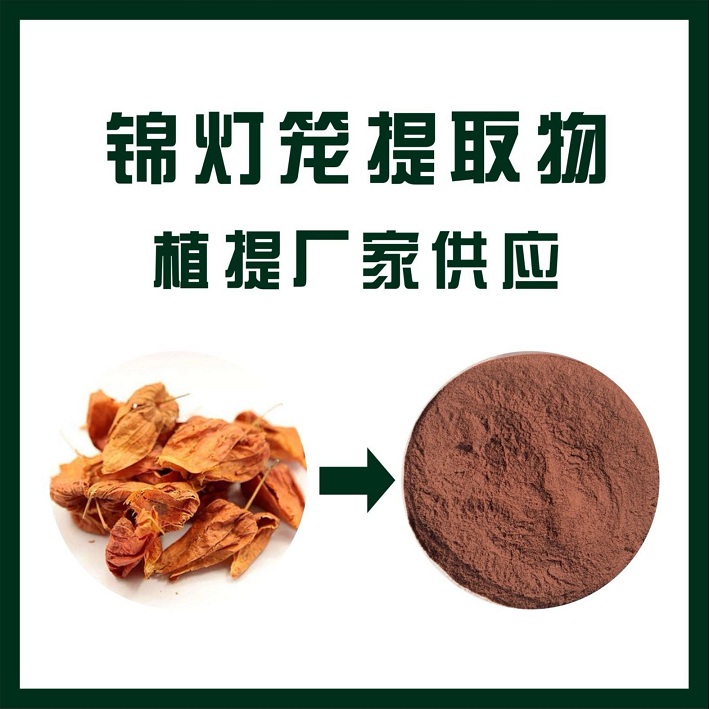 锦灯笼提取物