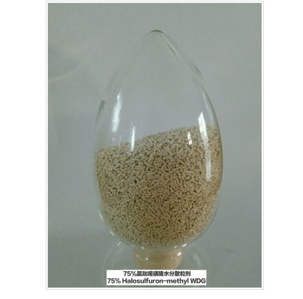 三氟啶磺隆75%WDG