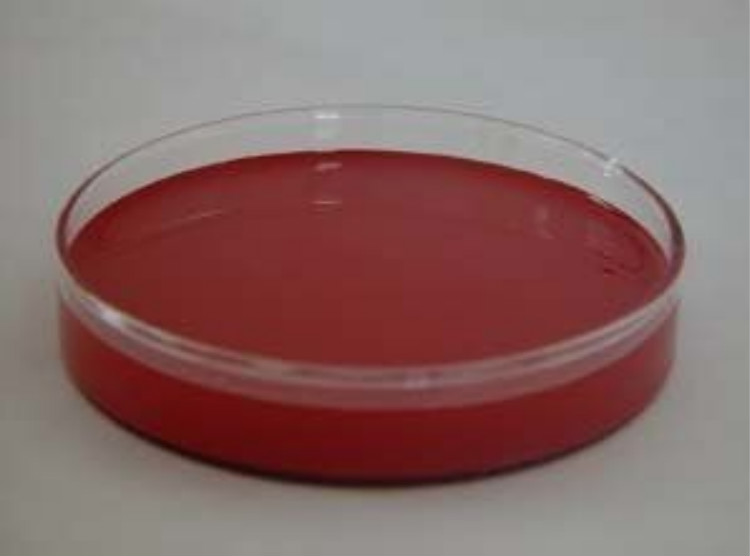 β-胡萝卜素粉剂