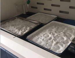 2-硝基间苯二甲酸单甲酯