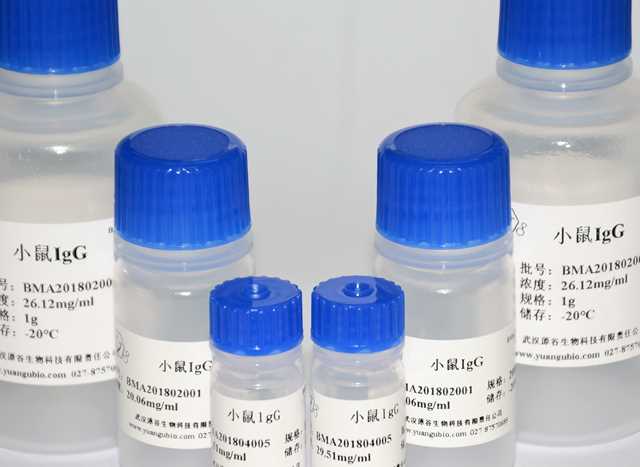 小鼠IgG