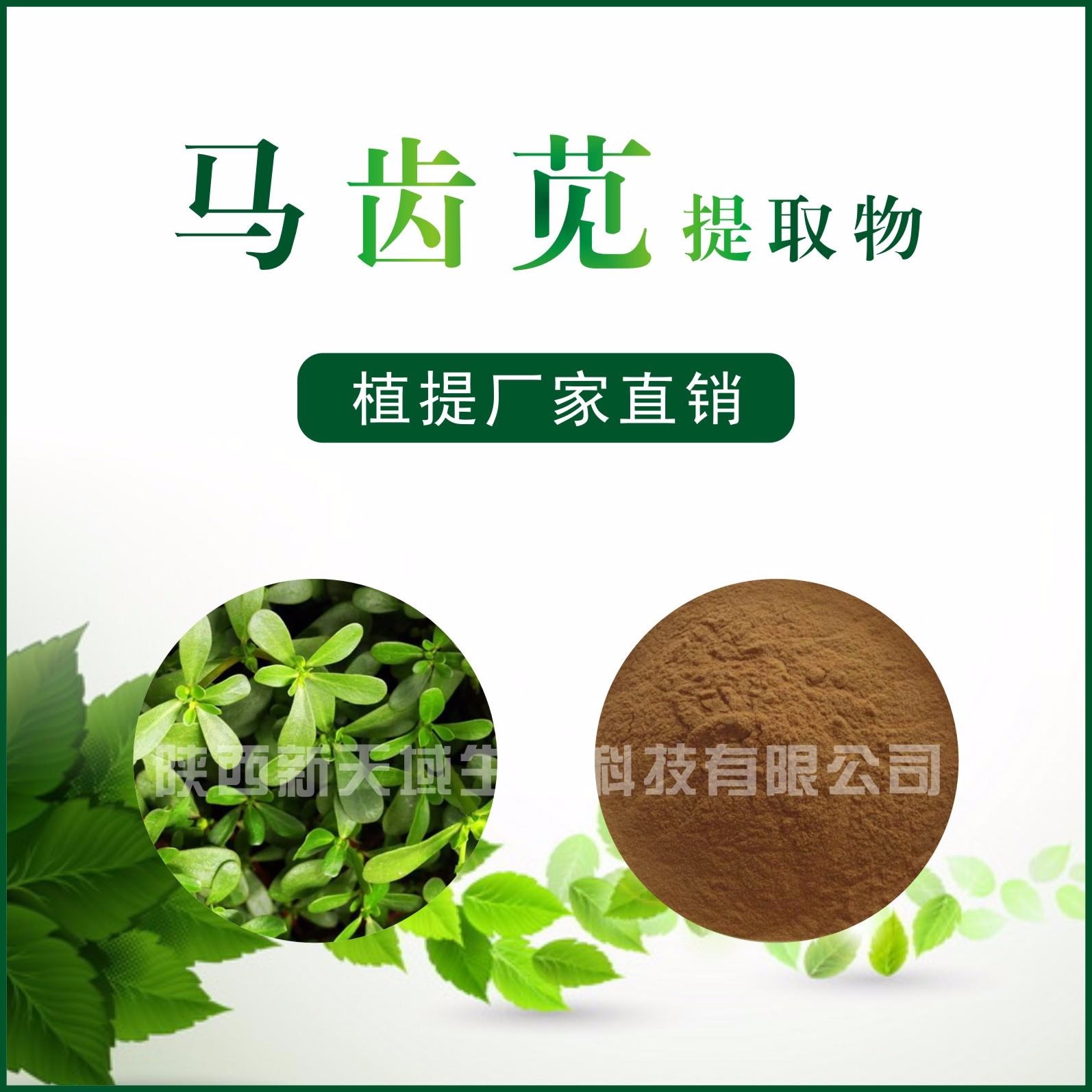 马齿苋提取物