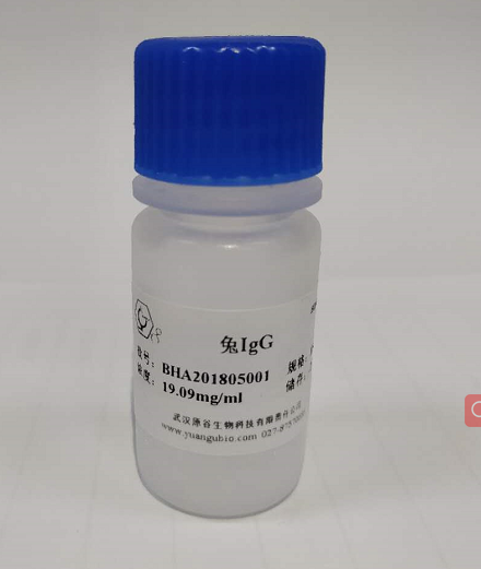 兔IgG