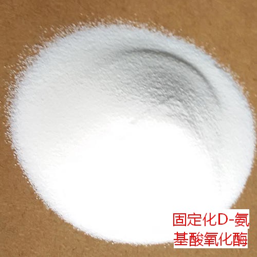 固定化D-氨基酸氧化