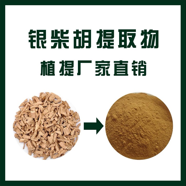 银柴胡提取物