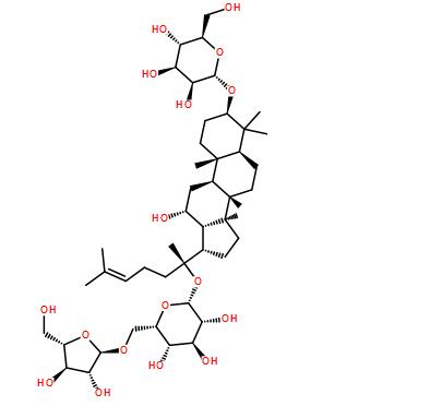 三七总皂苷生产厂家