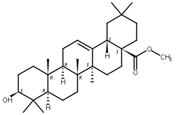 齐墩果酸甲酯