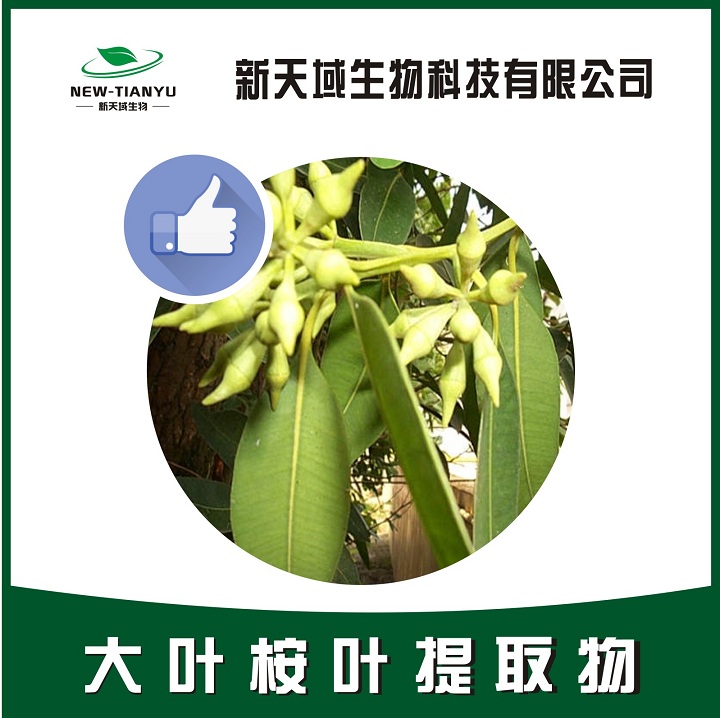 大叶桉叶提取物