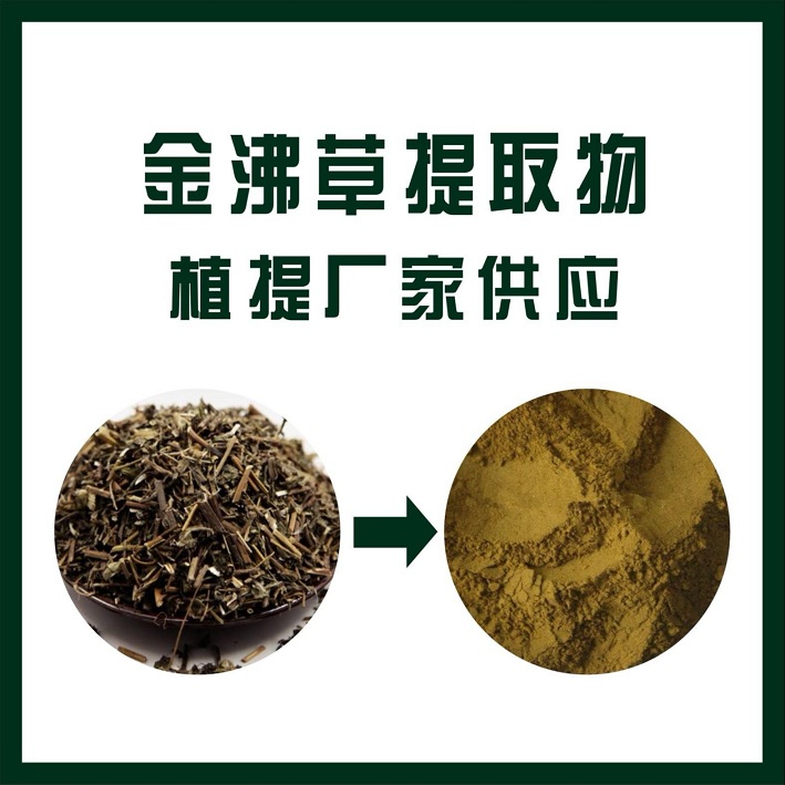 金沸草提取物