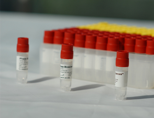 空白SD大鼠血浆