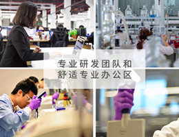 甲酸（Formic Acid）