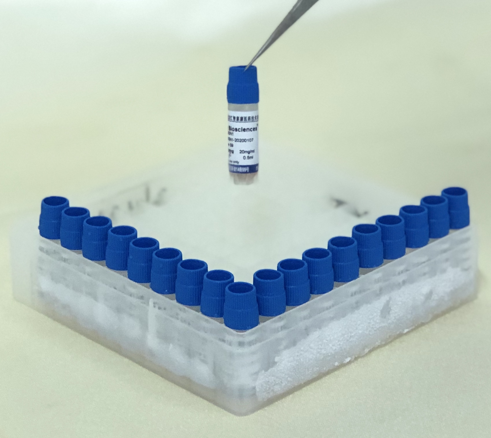 诱导混合SD大鼠肝微粒体