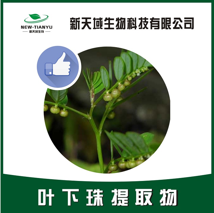 叶下珠提取物