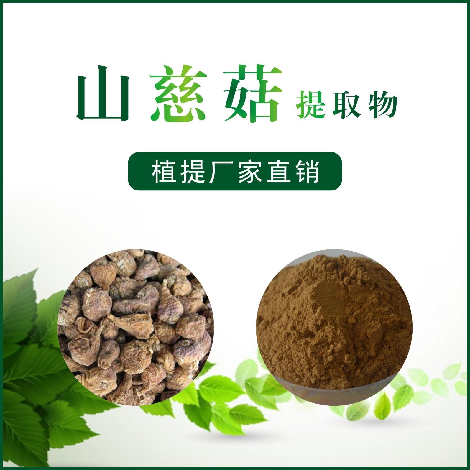 山慈菇提取物