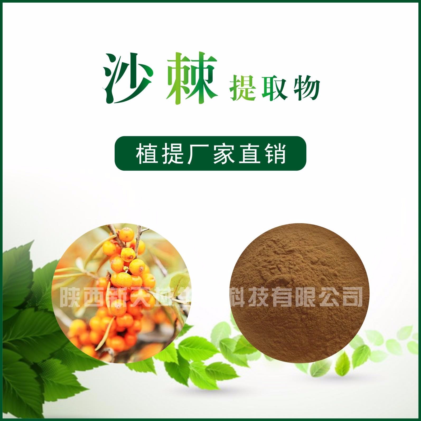 沙棘提取物/沙棘粉