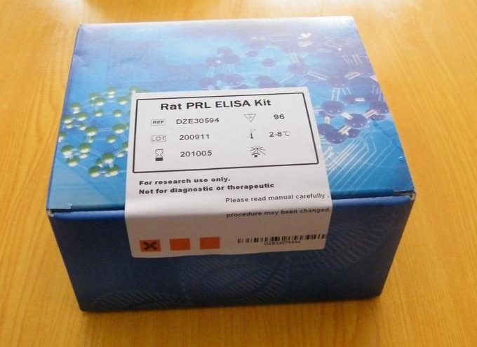 人白细胞介素12 （ELISA）试剂盒