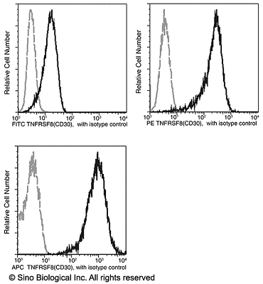 FITC标记的CD30抗体