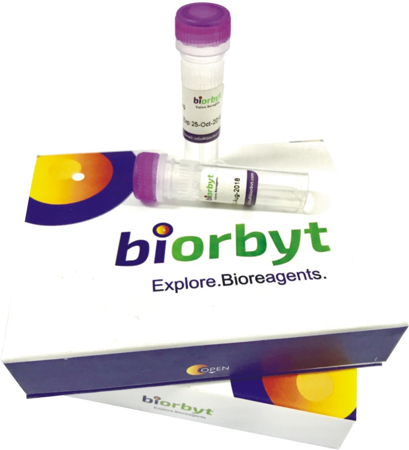 英国biorbyt orb64224 8-Oxo-dGTP