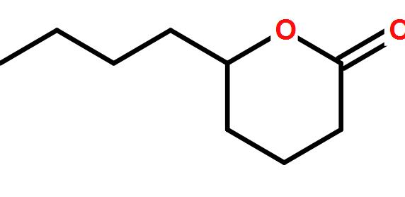 丁位壬内酯|3301-94-8|生产厂家
