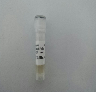 辣根过氧化物酶标记羊抗人IGG