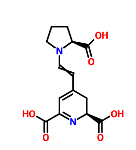 梨果仙人掌黄质