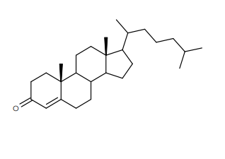 4-胆甾烯-3-酮