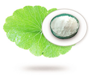 积雪草苷 积血草苷 积雪草提取物