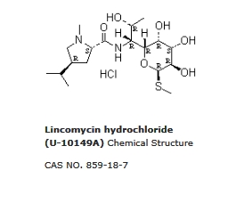 Lincomycin hydrochloride