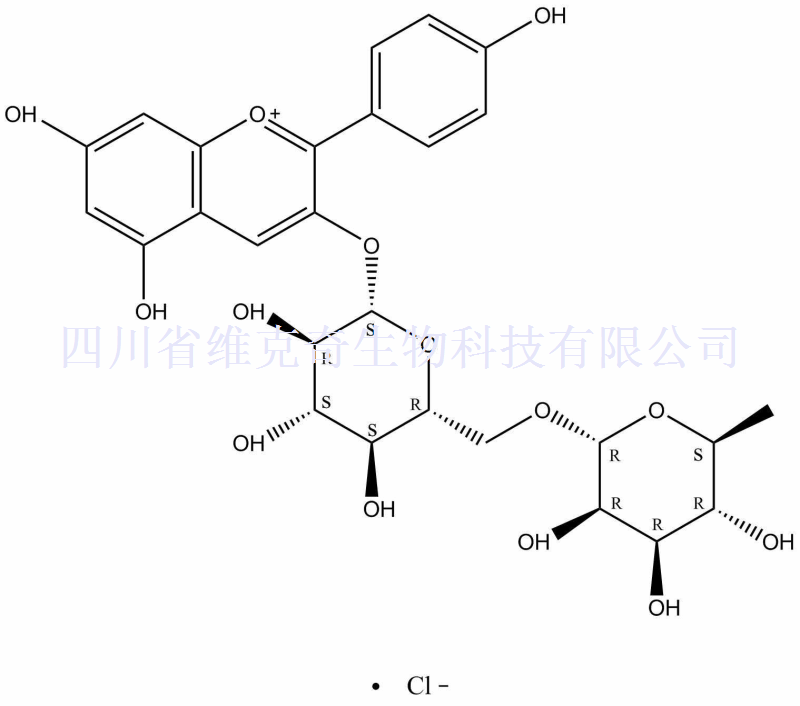 氯化天竺葵素-3-O-芸香糖苷