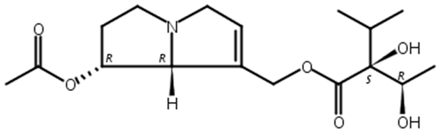 7-Acetylintermedine