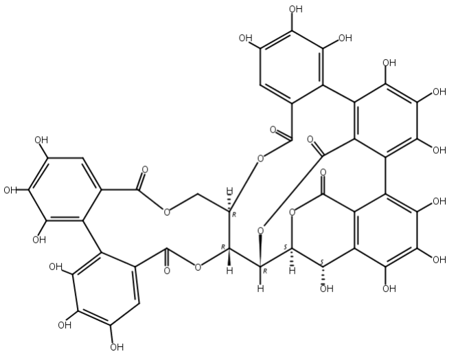 栗木鞣花素