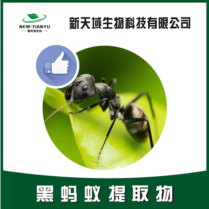黑蚂蚁提取物